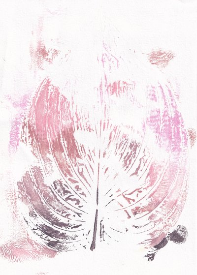 Folha botânica rosa de Maira Ribena