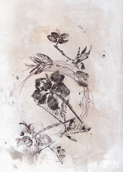 Sepia Fluxo Botânico de Maira Ribena
