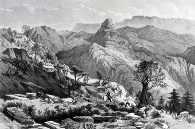 Na marcha perto de Dongolo, gravada por James Ferguson, 1868 de Major A.G.F. Hogg