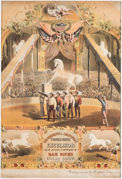 O maravilhoso e maravilhosamente treinado cavalo Excelsior, c.1840 (chromolitho) de Major and Knapp Sarony