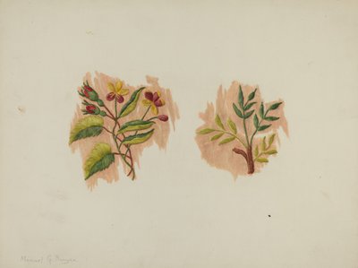 Fragmento de Seda Petticoat, c. 1939. de Manuel G. Runyan