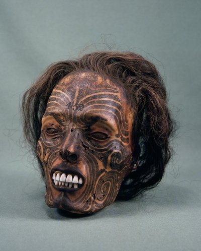 A cabeça do chefe tribal, tatuada e mumificada, civilização Maori de Maori Maori