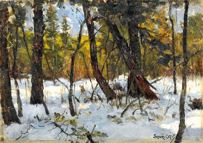 Floresta no inverno (óleo sobre papel colocado a bordo) de Marc Aurele de Roy Suzor Cote