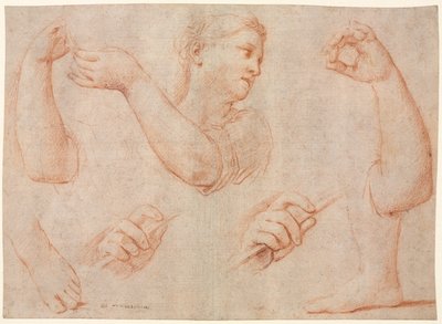 Estudo de uma jovem tocando um pandeiro e estudos de um braço, mãos e pés (estudos para "Miriam liderando o coro de mulheres que agradecem pelo encaminhamento do faraó" de Marcantonio Franceschini