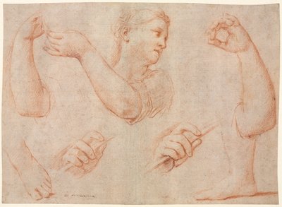 Estudo de uma jovem tocando pandeiro e estudos de um braço, mãos e pés ..., c. 1711 de Marcantonio Franceschini