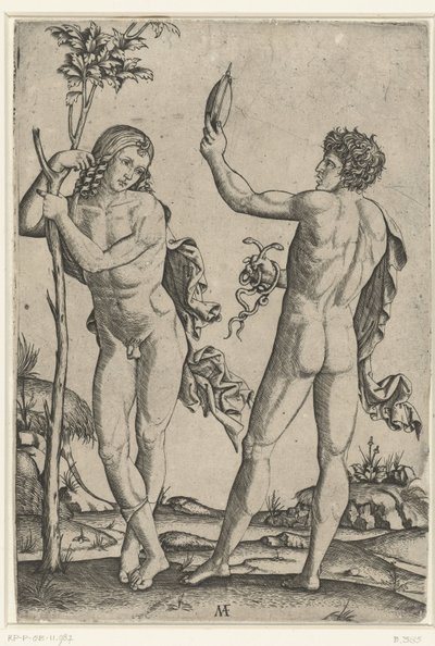 Homem nu encostado a uma árvore e homem nu com espelho e duas serpentes de Marcantonio Raimondi