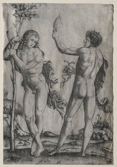 Dois homens nus ao lado de uma árvore de Marcantonio Raimondi