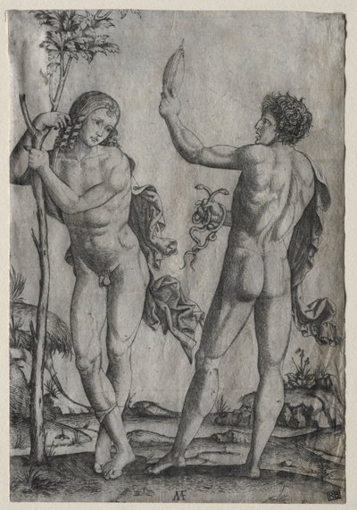Dois homens nus ao lado de uma árvore. de Marcantonio Raimondi