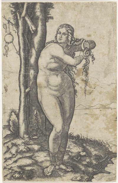 Vénus fica em frente ao mar e torce a água do seu cabelo
Nascimento de Vénus de Marcantonio Raimondi