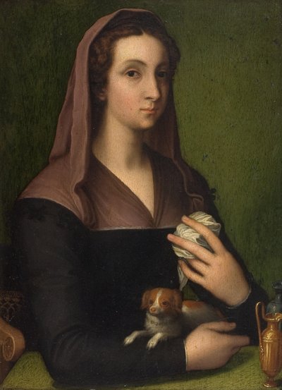 Um retrato de uma senhora (óleo no painel) de Marcello (follower of) Venusti