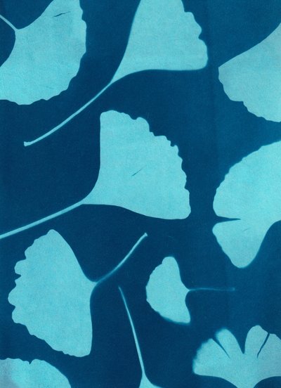 Ginkgo biloba 146, 2023 (cianótipo, técnica mista) de Marco Campedelli