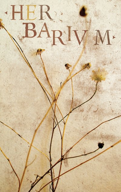 Herbário, 2014 (técnica mista) de Marco Campedelli
