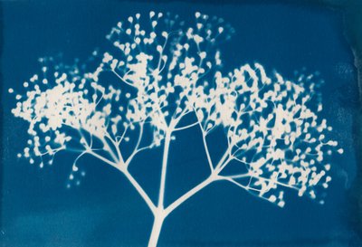 Cartas, 2014 (impressão xilográfica sobre papel) de Marco Campedelli