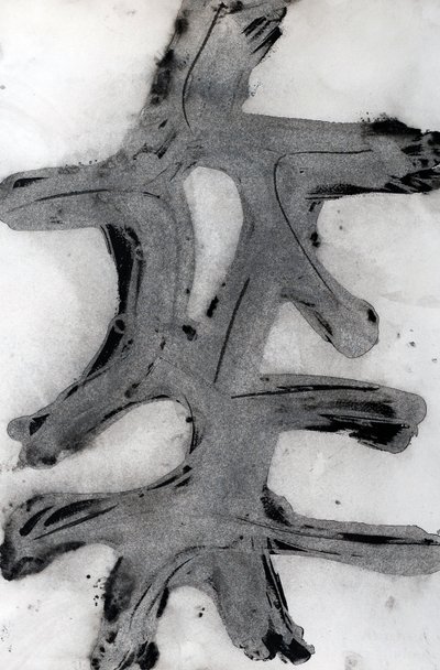 Ramas, 2014 (tinta sobre papel) de Marco Campedelli