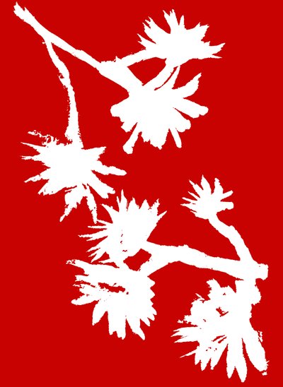 Succulent_1, 2022 (tinta sobre papel) de Marco Campedelli