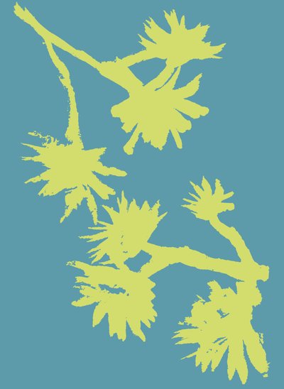 Succulent_2, 2022 (tinta sobre papel) de Marco Campedelli