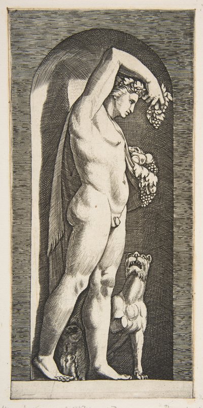 Baco em pé em um nicho segurando uvas em sua mão direita levantada, frutas em sua l ..., ca. 1515-27. de Marco Dente