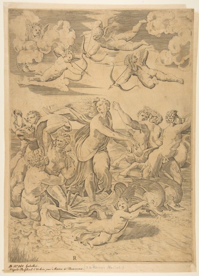 Galatea cavalgando em uma concha puxada através da água por golfinhos, um cupido abaixo ef ..., ca. 1515-27. de Marco Dente