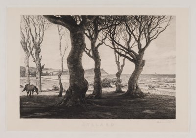 paisagem da Jutlândia de Marcus Bech Fritz