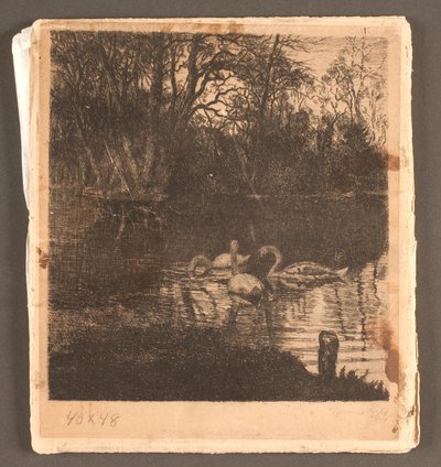Motivo com cisnes. Jardim Frederiksberg de Marcus Bech Fritz