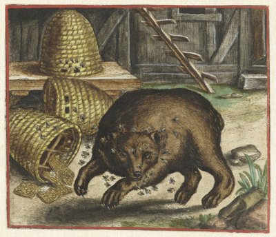 Fábula do urso e das abelhas de Marcus Gheeraerts (I)