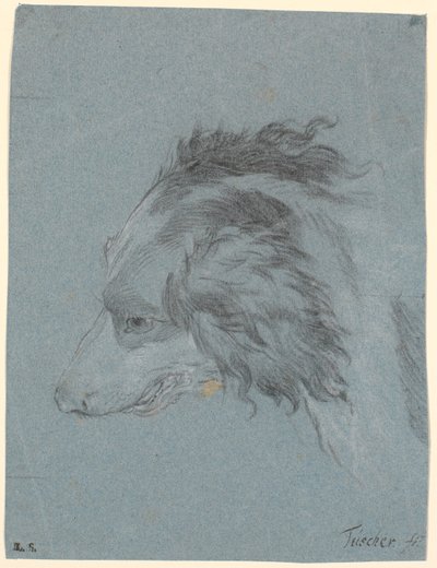 A cabeça de um cão de Marcus Tuscher