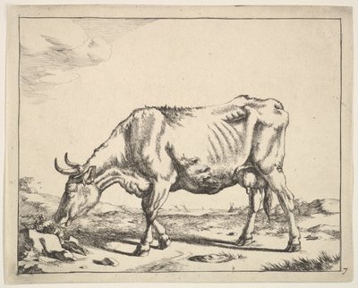 Vaca, depois do Paulus Potter. de Marcus de Bye