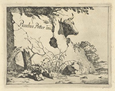 Cabeça de bovino atrás de rocha
Bovinos e suínos (título da série) de Marcus de Bye