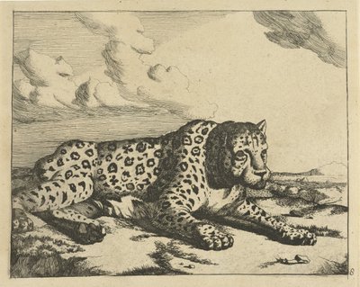 Leopardo deitado para a direita, pernas viradas para o telespectador
Leopardos (título da série) de Marcus de Bye