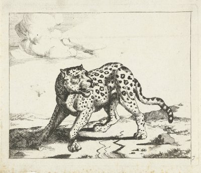 Leopardo, de pé para a esquerda, cabeça para a direita
Leopardos (título da série) de Marcus de Bye