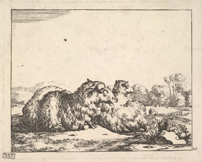 Ovelhas, de um conjunto de 16 pratos, 1664. de Marcus de Bye