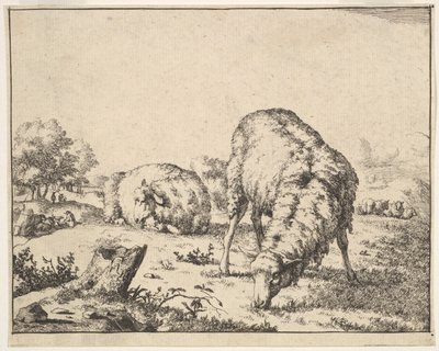 Ovelha, de um conjunto de 16 placas, 1664. de Marcus de Bye