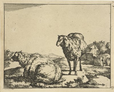 Ovelhas em pé e deitadas com fazenda ao fundo Carneiro (título da série) de Marcus de Bye