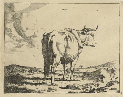 Vaca em pé, vista por trás
Bovinos (título da série) de Marcus de Bye