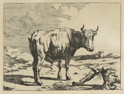 Touro em pé no toco de árvore Vacas e ovelhas (título da série) de Marcus de Bye