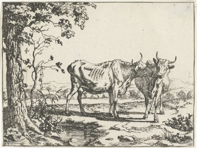 Duas vacas se lambendo Gado e porcos de Marcus de Bye