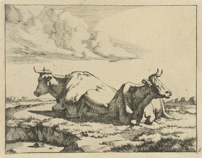 Duas vacas reclináveis
Vacas e ovelhas (título da série) de Marcus de Bye