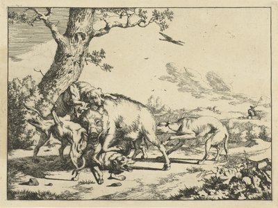 Javali atacado por quatro cães de caça Cães de caça (título da série) de Marcus de Bye