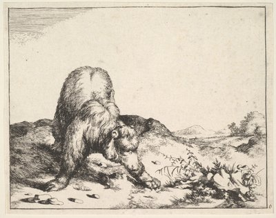 de The Set of The Bears, ca. 1664. de Marcus de Bye