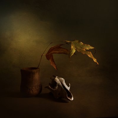 Natureza morta de outono sombrio de Margaret Halaby