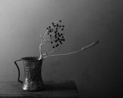 Natureza morta com bagas escuras de Margaret Halaby