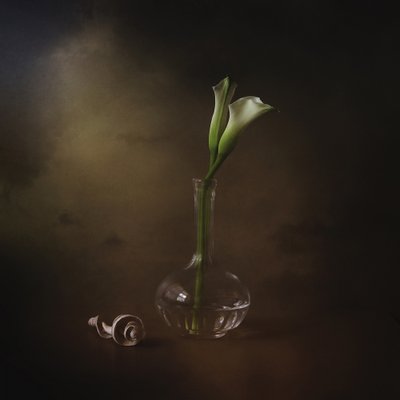 Callas elegantes de Margaret Halaby