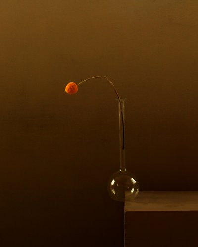 Flor de laranjeira minimalista de Margaret Halaby