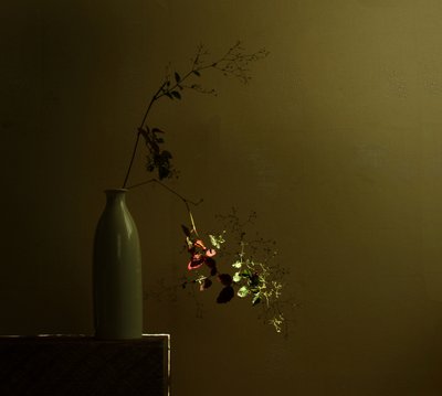 Natureza morta botânica melancólica de Margaret Halaby
