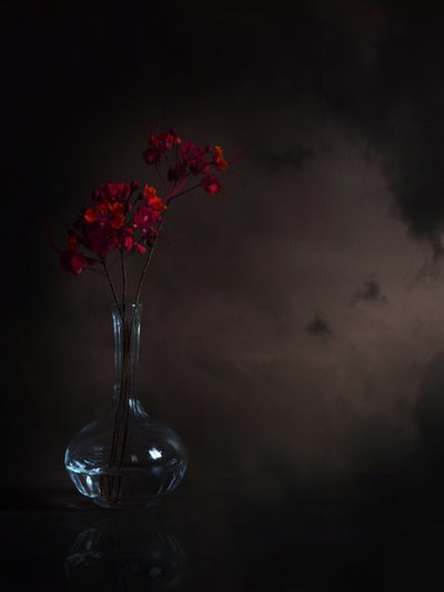 Flores Vermelhas Melancólicas de Margaret Halaby