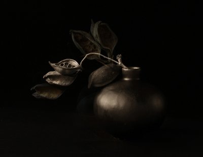 Vagens de sementes Moody de Margaret Halaby