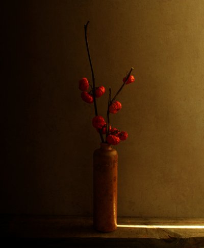 Natureza morta com bagas vermelhas de Margaret Halaby