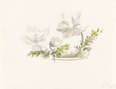 Estudo de um arranjo floral (grafite, aguarela) de Margaret Louisa Herschel