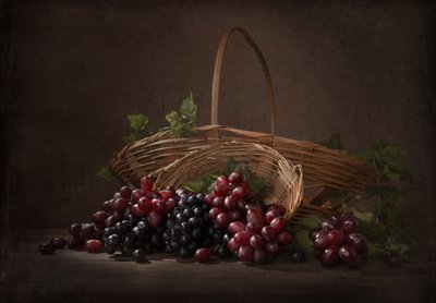 Uvas abundantes da vinha de Margareth Perfoncio