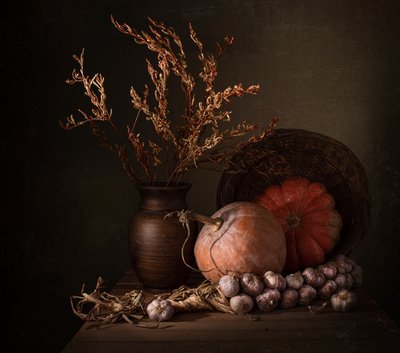 Abóboras «Dark Harvest» de Margareth Perfoncio